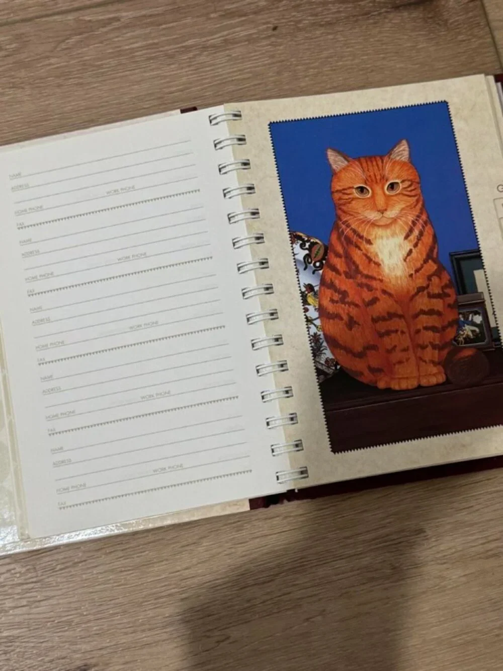 🐈❤️Vintage 1995 Susan Powers 